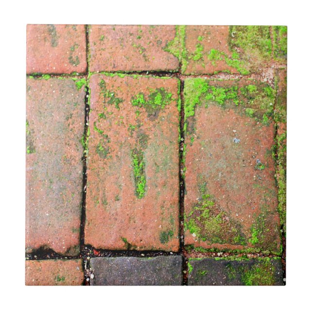 Azulejo De Cerámica Calzada de los ladrillos (Frente)