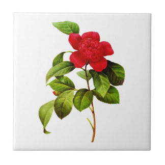 Azulejo De Cerámica Camellia Roja de Pierre Joseph Redoute