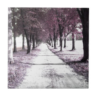 Azulejo De Cerámica camino rosado de Forrest Gump