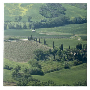 Azulejo De Cerámica Campo cerca de Montepulciano, Val d'Orcia,