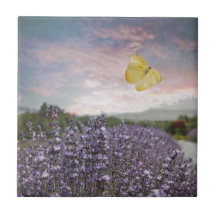 Campo de las flores de la lavanda, cielo azul,