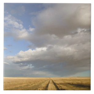Azulejo De Cerámica Canadá, Alberta, alzate: Paisaje con