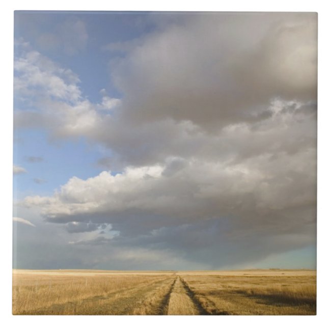 Azulejo De Cerámica Canadá, Alberta, alzate: Paisaje con (Frente)