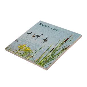 Azulejo De Cerámica Canadá Geese Y Cattails