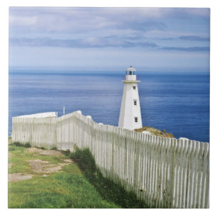 Azulejo De Cerámica Canadá, Terranova, Cape Spear National 2