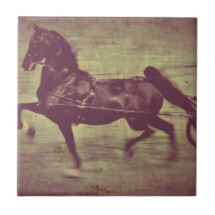 Azulejo De Cerámica Canción de Saddlebred