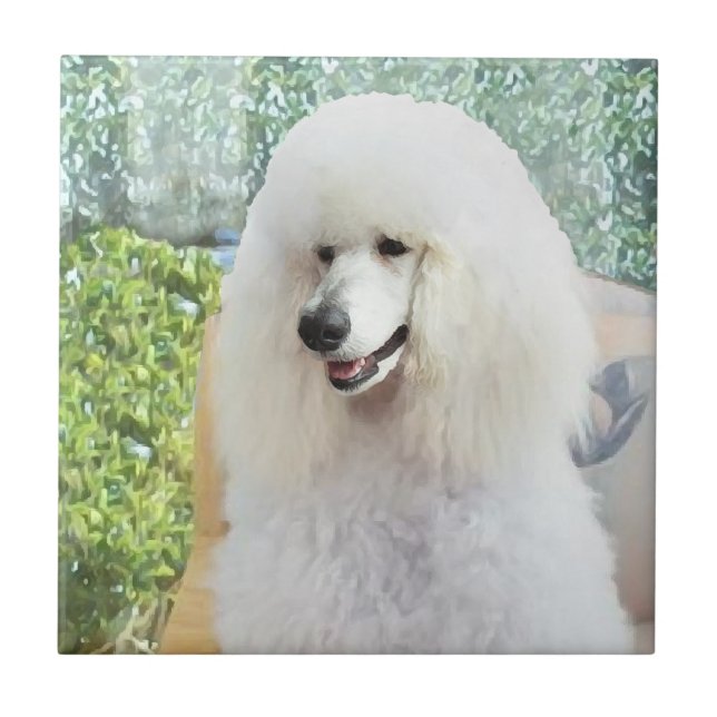 Azulejo De Cerámica Caniche estándar blanco (Frente)