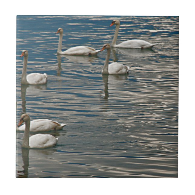 Azulejo De Cerámica Canto del cisne (Frente)