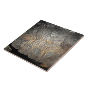 Azulejo De Cerámica Caparazón de Tortuga Gopher