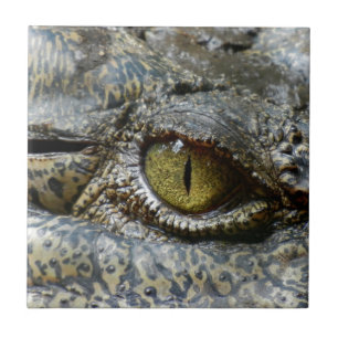 Azulejo De Cerámica cara de cocodrilo animal personalizado diy