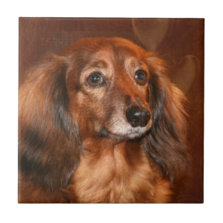 Azulejo De Cerámica Cara del Dachshund