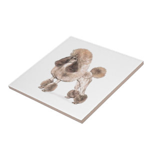 Azulejo De Cerámica Carbón — Mostrar carne de vaca