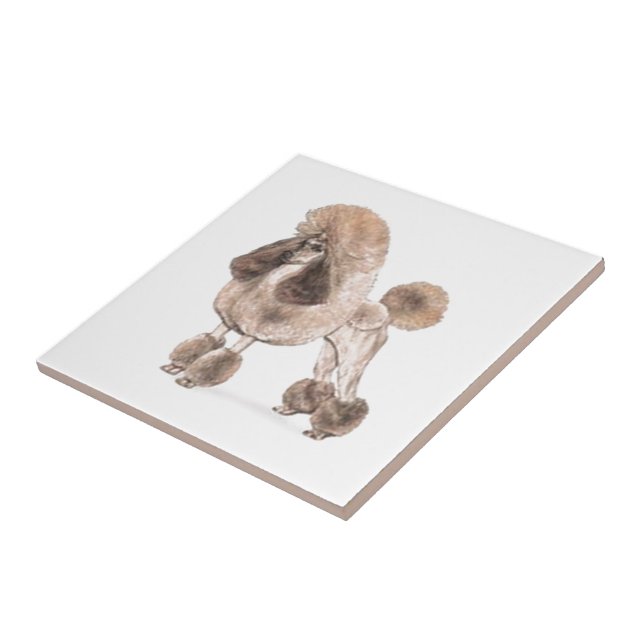 Azulejo De Cerámica Carbón — Mostrar carne de vaca (Lado)