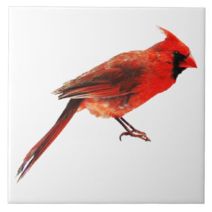 Azulejo De Cerámica Cardenales