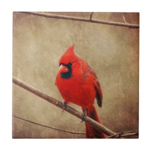 Azulejo De Cerámica Cardinal