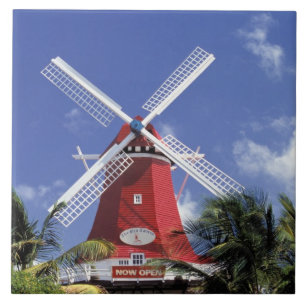 Azulejo De Cerámica Caribe, Aruba. Molino antiguo convertido en molino