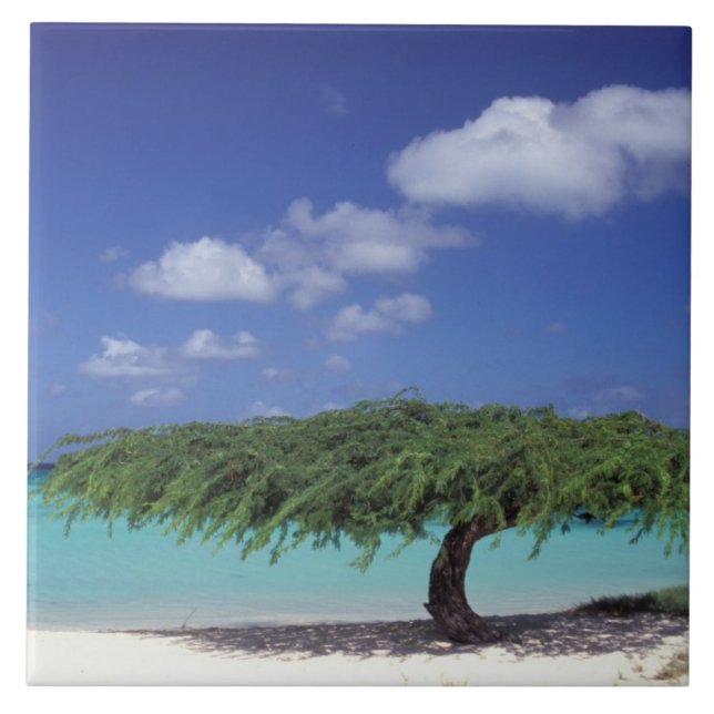 Azulejo De Cerámica Caribe, Aruba. Playa Eagle (Frente)