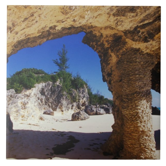 Azulejo De Cerámica Caribe, Bermudas, Ciudad de Tucker.Beige (Frente)