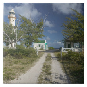 Azulejo De Cerámica Caribe, TURCAS Y CAICOS, Isla de Gran Turca, 3