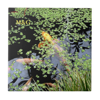 Azulejo De Cerámica Carp