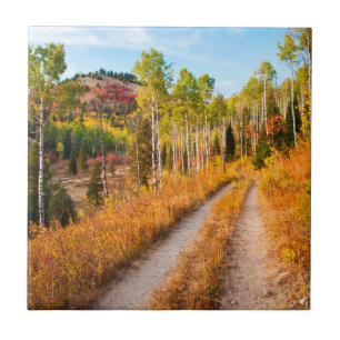 Azulejo De Cerámica Carretera a través de colores de otoño