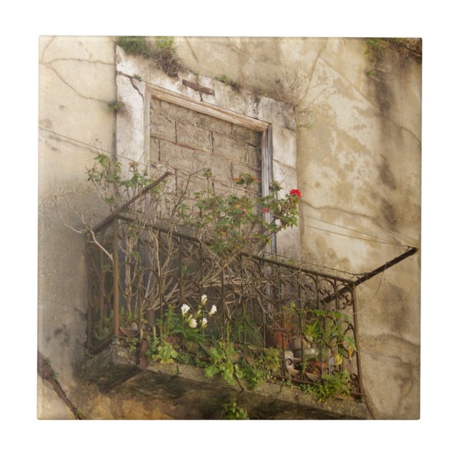 Azulejo De Cerámica Casa vieja abandonada (Frente)