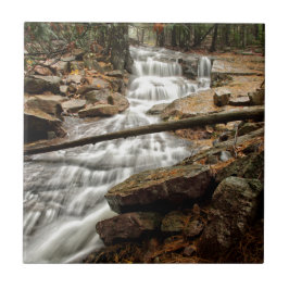 Azulejo De Cerámica Cascada 4