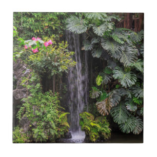 Azulejo De Cerámica Cascada del jardín exuberante, China