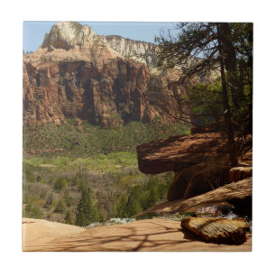 Azulejo De Cerámica Cascada en Emerald Pools en Zion National Park