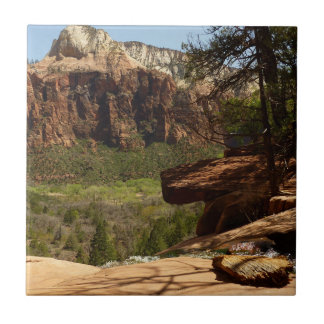 Azulejo De Cerámica Cascada en Emerald Pools en Zion National Park