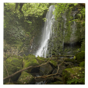 Azulejo De Cerámica Cascada Matai, Catlins, South Otago