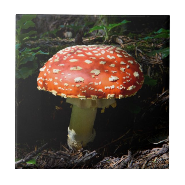 Azulejo De Cerámica Cascadas Centrales, Estado de Washington (Frente)