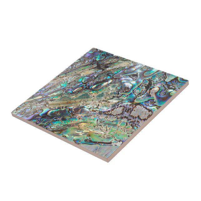 Azulejo De Cerámica Cáscara del paua de la reina (Lado)