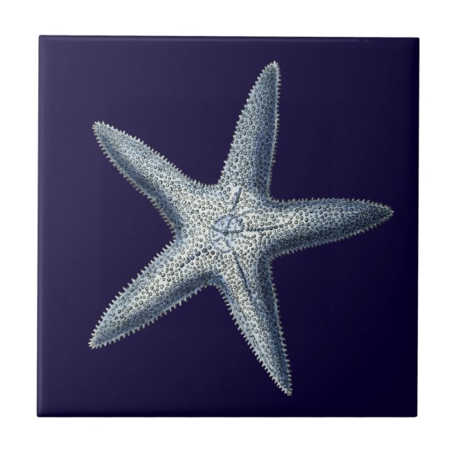 Azulejo De Cerámica Cáscaras de índigo IV (Frente)