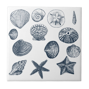 Azulejo De Cerámica Cáscaras náuticas del océano azul