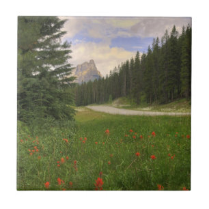 Azulejo De Cerámica Castillo de Montaña Banff