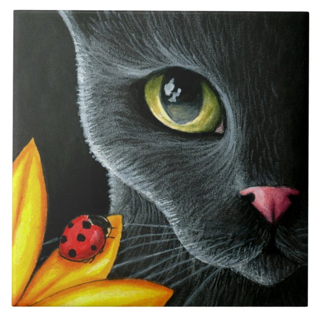 Azulejo De Cerámica Cat 510 (Frente)