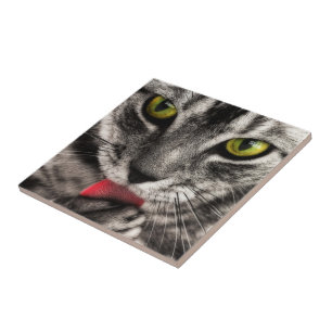Azulejo De Cerámica Cat Lick
