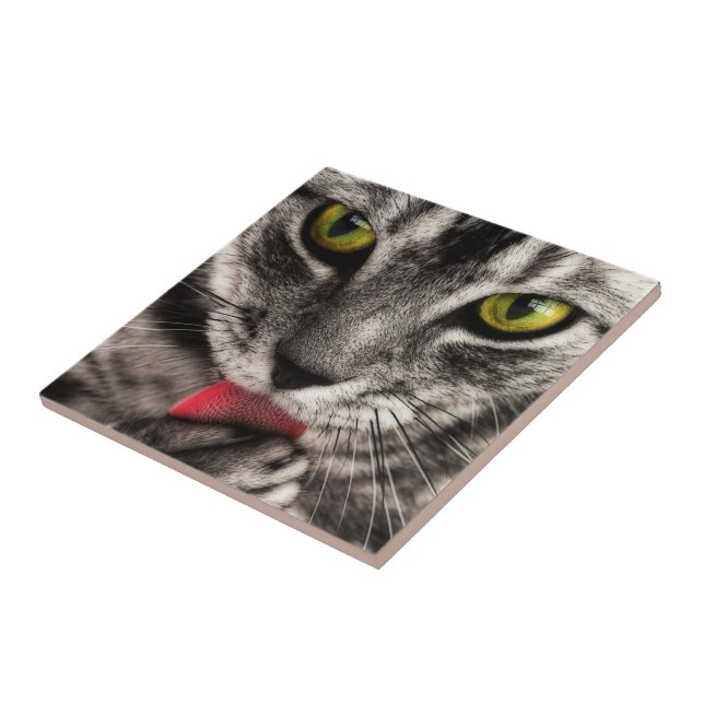 Azulejo De Cerámica Cat Lick (Lado)