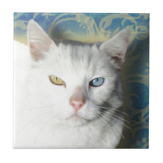 Azulejo De Cerámica Cat - Patrick el gato blanco