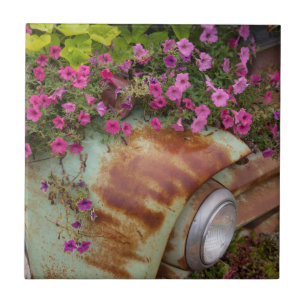 Azulejo De Cerámica Cataratas de Columbia