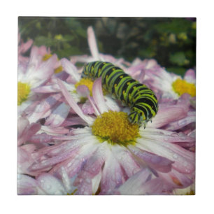 Azulejo De Cerámica Caterpillar Stroll Tile Trivet