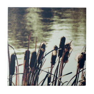 Azulejo De Cerámica Cattails, plantas de estanques