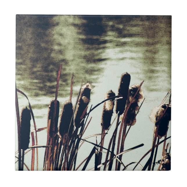 Azulejo De Cerámica Cattails, plantas de estanques (Frente)