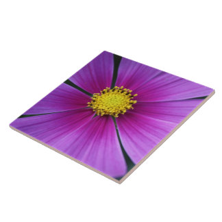 Azulejo De Cerámica Centro del Cosmos Tile