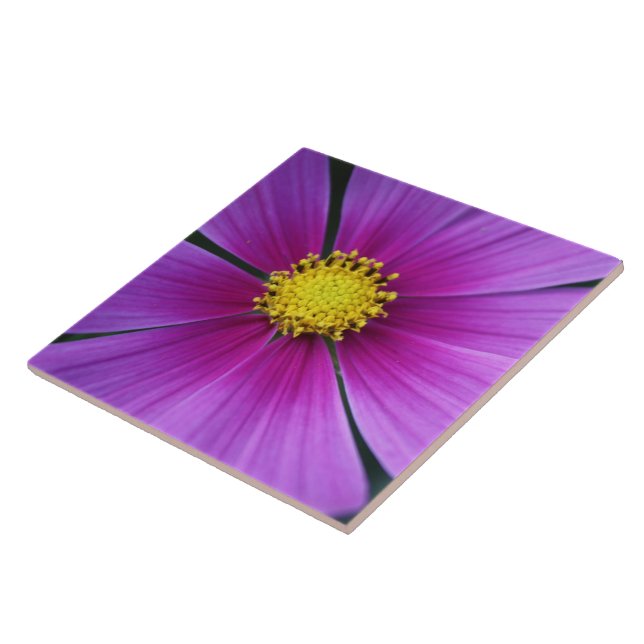 Azulejo De Cerámica Centro del Cosmos Tile (Lado)