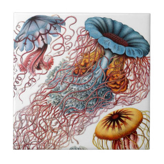 Azulejo De Cerámica Cerámica de las medusas de Haeckel