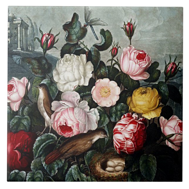 Azulejo De Cerámica Cerámica de los Rosas de la floricultura botánica (Frente)