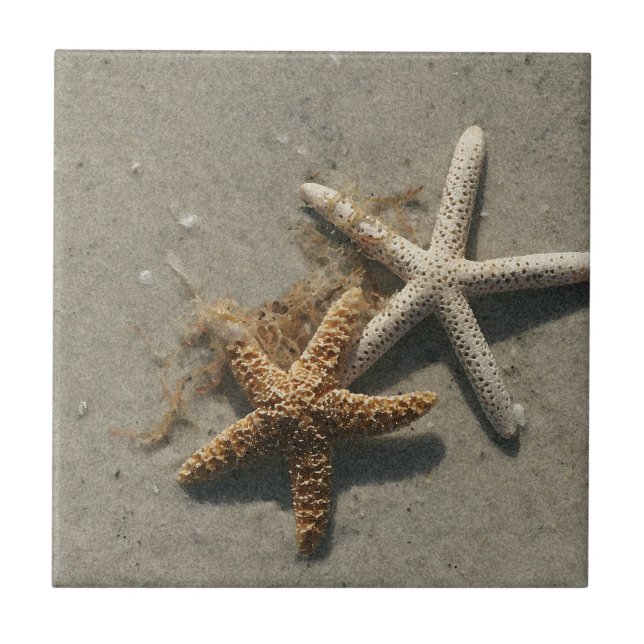Azulejo De Cerámica Cerámica Starfish Trivet (Frente)