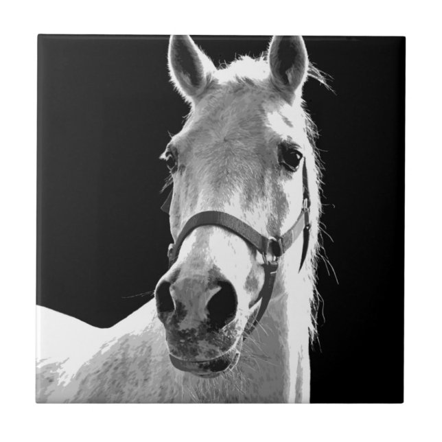 Azulejo De Cerámica Cerco del caballo blanco negro en la noche (Frente)